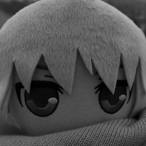 whs [clip]