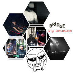 BRIDGE3_1