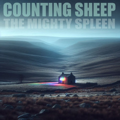 Counting Sheep (Moorland Break Mix)