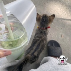 刀酱 - 5:20AM（DJ抖音版）