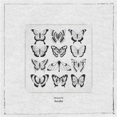Michael FK - Awake