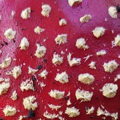 Red Rain (Peter Gabriel Cover) rough band rehearsal