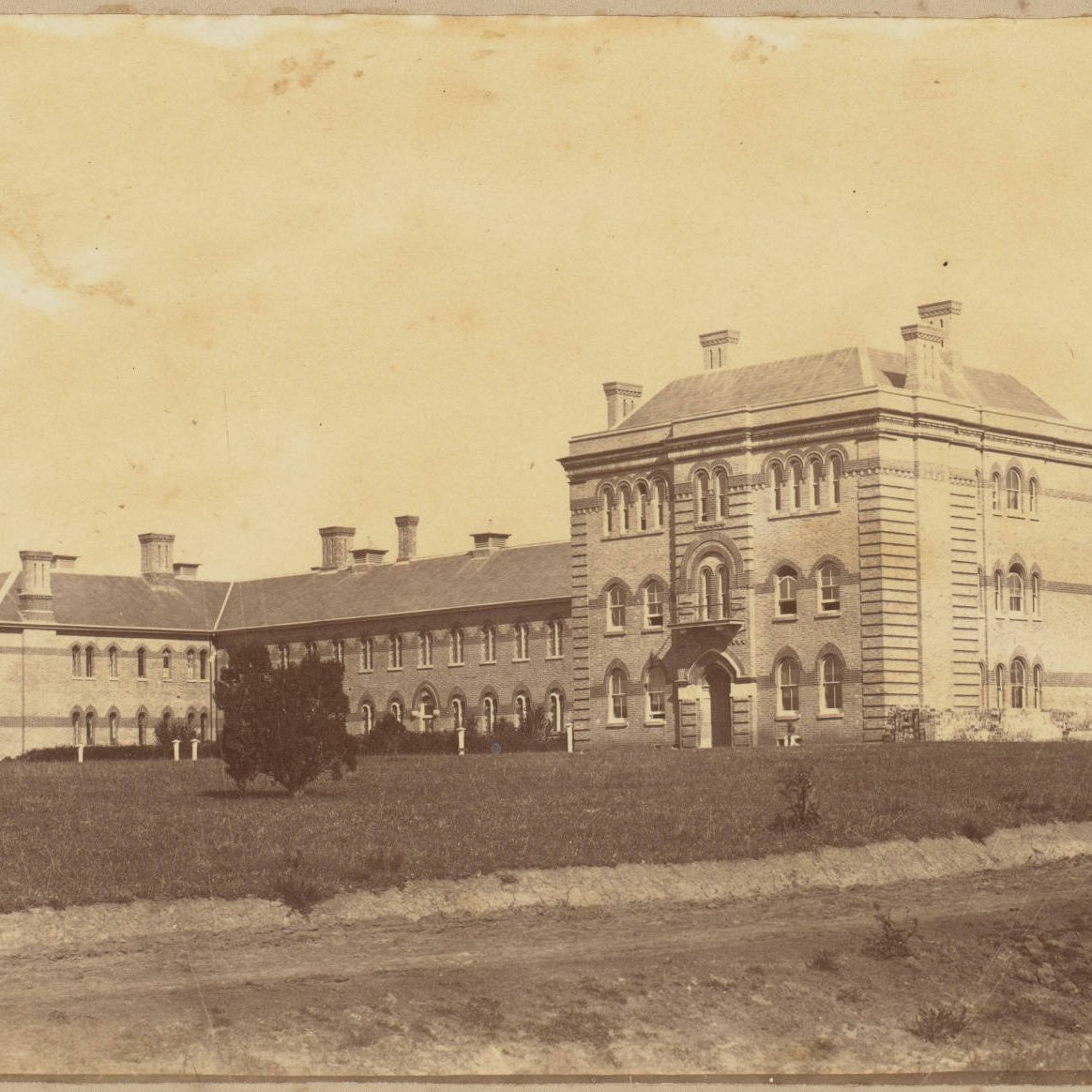 Sasha Finer: The Lunatic Asylum episode artwork