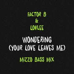 Wondering (Your Love Leaves Me) (Mizzo Bass Mix)