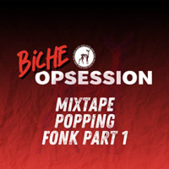 MIXTAPE BICHE OPSESSION - FONK PART 1