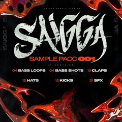 SAIGGA SAMPLE PACC 001 DEMO