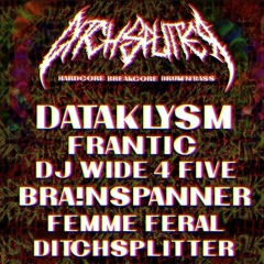 FRANTIC AT DITCHSPLITTER / TOXIC SICKNESS RESIDENCY SHOW / FEBRUARY / 2024
