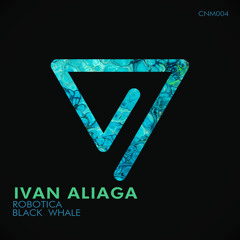 Premiere: Ivan Aliaga - Black Whale [Constellation Music]