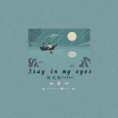 呆我眼睛里 (Dai Wo Yan Jing Li - Stay In My Eyes) - 张天枢Dubhe