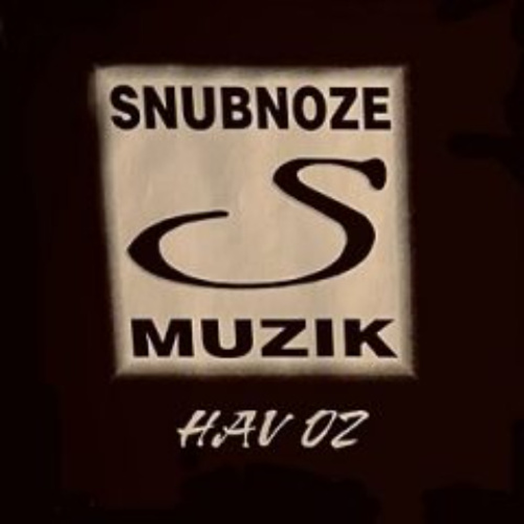 Stream HAV 0Z - Track 9 by bumpin memphis | Listen online for free on ...