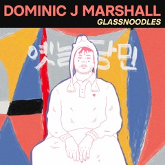 Dominic J Marshall - Glassnoodles