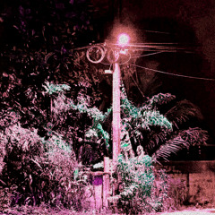 I Can't Unsee (feat. Lil Zatee)