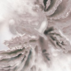 Alohn - 48Billion.ants [traverse]