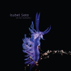 B1 - Isabel Soto - Habitat Alteration [SS7.013EP]