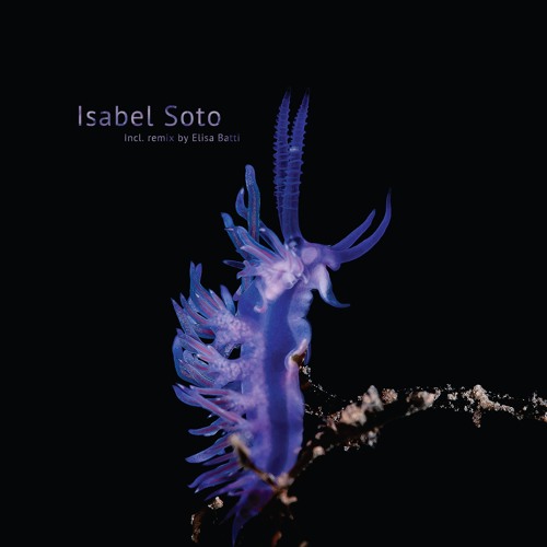B1 - Isabel Soto - Habitat Alteration [SS7.013EP]