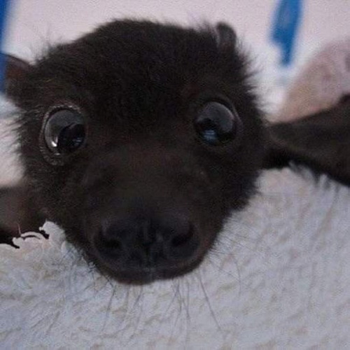 B4 BIRTH [PROD. @RAJZAUNN]