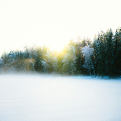 EXILE MENTALITY Jan 4 Maste