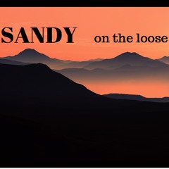 Sandy on the loose