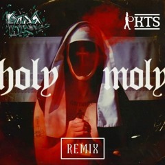 Carnage - Holy Moly Ft.Terror Bass (K T S & Hardseekers Remix)