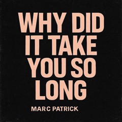 why did it take you so long.wav