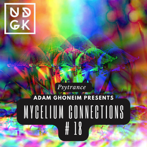 Mycelium Connections on UDGK Radio (Psytrance) # 18