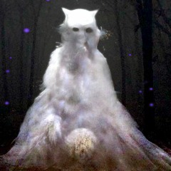 WH - Dwaalichtje Coven Regentess