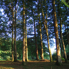 Prelude & Fugue in E major