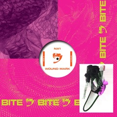 Premiere: NX1 - BT4 [BITE]