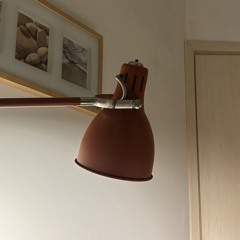 Blitz Gerontoiatrico