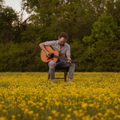 Companion - Wildflower