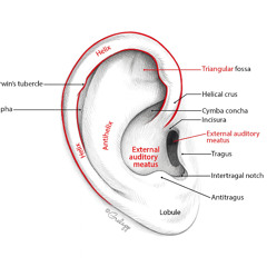 tilsche - the most painful shit i have ever produced (EARRAPE WARNING)