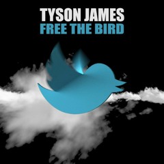 Free The Bird - Tyson James