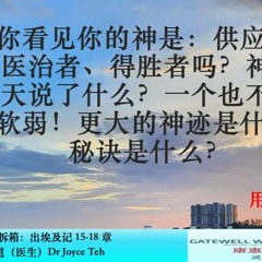 出埃及记15 - 18章 为什么经历神迹后面对问题的时候害怕、抱怨？领袖应该如何训练团队？郑乙蒨传道（医生）Dr Joyce Teh 210328