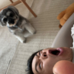 TERU / いつも demo