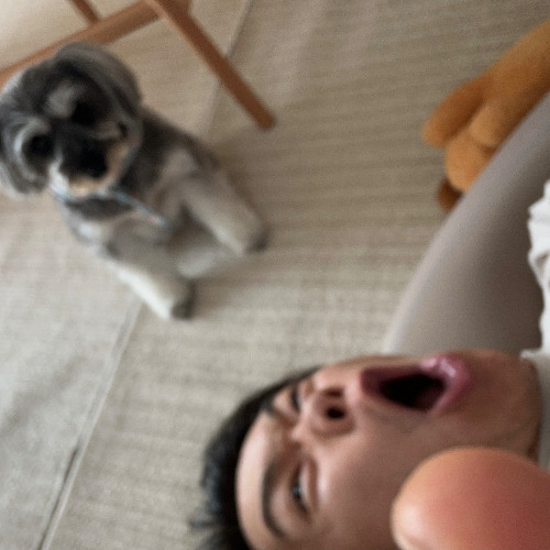 TERU / いつも demo