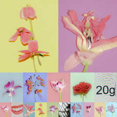 kidisinthejungle - remembering ishrat meenai