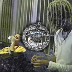 Plaqueboymax - Beaverskin [Remix] Prod @WAVBWOY @406ahmad