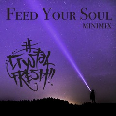 Feed Your Soul MiNiMiX