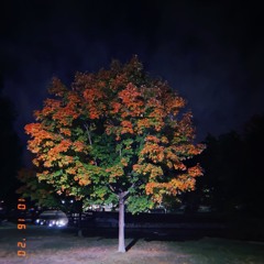 Smokin in the park after dark; a ballad to summon that sp0.Oky mood (prod. cloud9foreal)