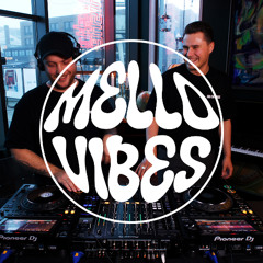 Mello Vibes - Groovy House Music Mix 2024