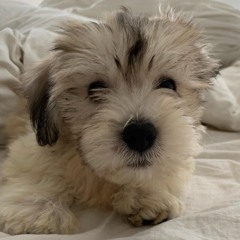 uyens fødselsdagsmix