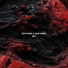 Tech House & Bass House Mix