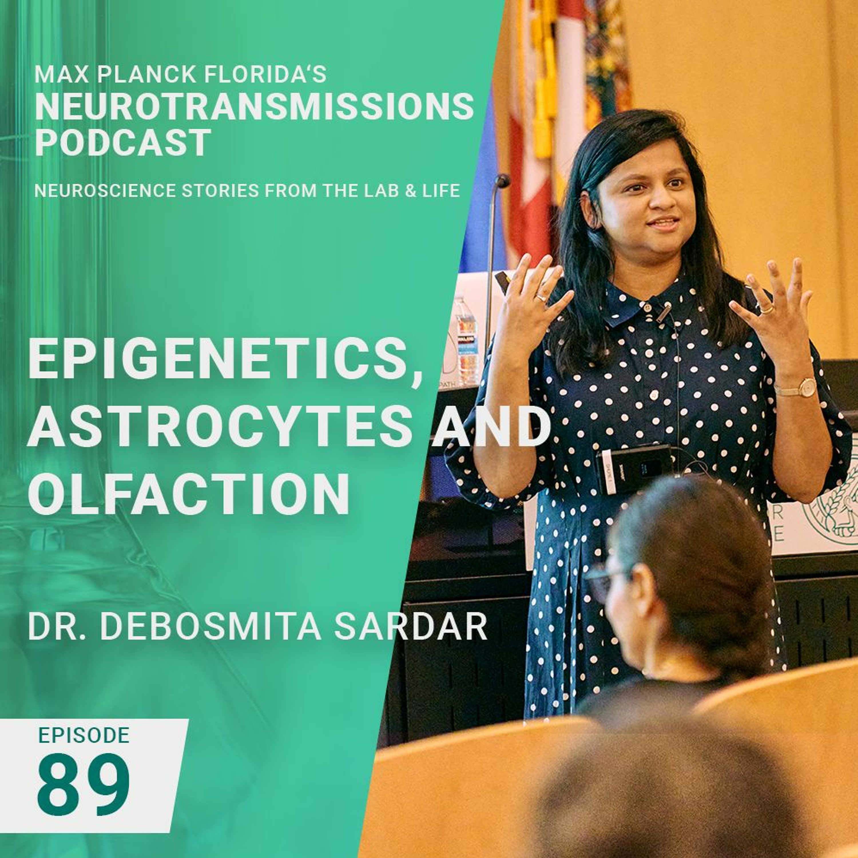 89. Epigenetics, Astrocytes And Olfaction With Dr. Debosmita Sardar