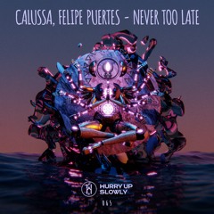 Calussa & Felipe Puertes - Never Too Late