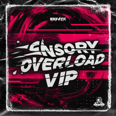 Sensory Overload VIP