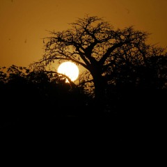 Stefan. / Deep & Micro House - Impromptu Café (Clfd)