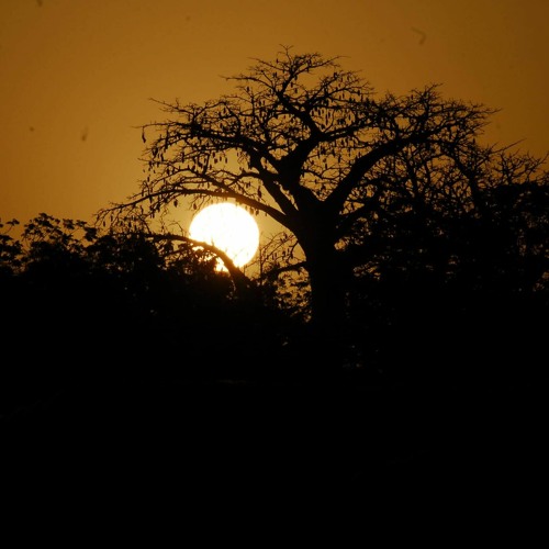 Stefan. / Deep & Micro House - Impromptu Café (Clfd)