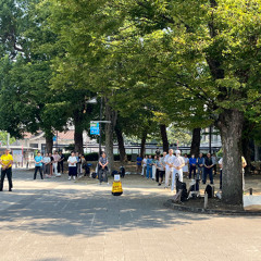 Gym-chinoise-Ueno-Koen