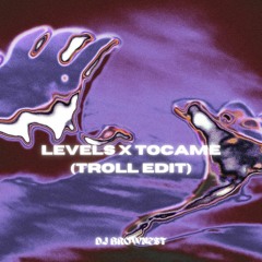 (SKIP TO 1.33)LEVELS X TOCAME (TROLL EDIT) - DJ BROWNEST