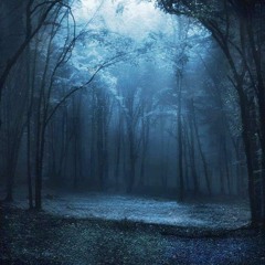 Forgotten by the sky